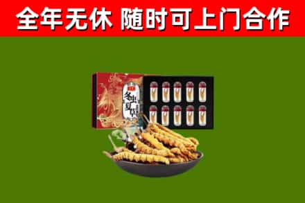 张湾区回收冬虫夏草价格