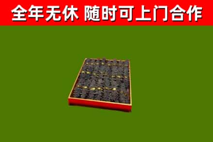张湾区回收海参